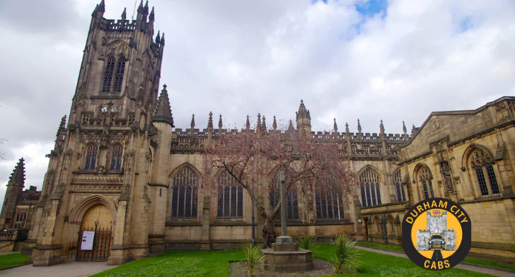 Durham Cathedral exterior with a blooming tree, showcasing its medieval architecture and a green lawn.
